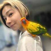 ヒメ日記 2026/02/09 17:00 投稿 れん☆ギャップにドハマり☆ アネキャンモード