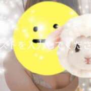 ヒメ日記 2025/05/18 11:16 投稿 せいか 厚木人妻城