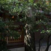 ヒメ日記 2025/06/16 19:43 投稿 るい でりどす