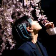 ヒメ日記 2025/07/27 00:01 投稿 るい でりどす