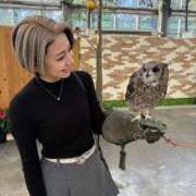 るい とり でりどす