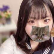 ヒメ日記 2025/03/30 19:19 投稿 うらんちゃん ちょい！ぽちゃロリ倶楽部Hip's馬橋店