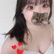 ヒメ日記 2025/04/15 19:08 投稿 うらんちゃん ちょい！ぽちゃロリ倶楽部Hip's馬橋店