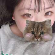 ヒメ日記 2025/04/20 00:38 投稿 うらんちゃん ちょい！ぽちゃロリ倶楽部Hip's馬橋店