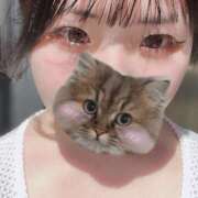 ヒメ日記 2025/04/21 10:38 投稿 うらんちゃん ちょい！ぽちゃロリ倶楽部Hip's馬橋店