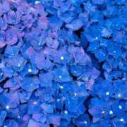 ヒメ日記 2025/06/09 16:47 投稿 ルカ秘書 秘書の品格 クラブアッシュ ヴァリエ