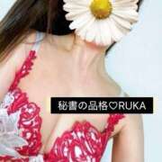 ヒメ日記 2025/11/25 17:30 投稿 ルカ秘書 秘書の品格 クラブアッシュ ヴァリエ