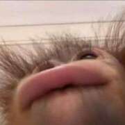 ヒメ日記 2025/08/11 22:01 投稿 かな 今から乳首を犯しにいってもいいですか？大阪店