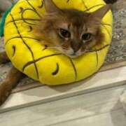 ヒメ日記 2025/11/01 22:01 投稿 かな 今から乳首を犯しにいってもいいですか？大阪店