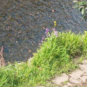 ヒメ日記 2025/04/06 10:00 投稿 ちあき 奥鉄オクテツ神奈川店（デリヘル市場グループ）