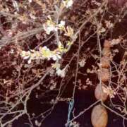 ヒメ日記 2025/04/08 15:05 投稿 ちあき 奥鉄オクテツ神奈川店（デリヘル市場グループ）