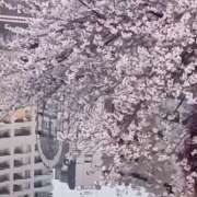 ヒメ日記 2025/04/14 15:00 投稿 ちあき 奥鉄オクテツ神奈川店（デリヘル市場グループ）