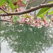 ヒメ日記 2025/04/20 12:00 投稿 ちあき 奥鉄オクテツ神奈川店（デリヘル市場グループ）