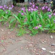 ヒメ日記 2025/04/23 14:00 投稿 ちあき 奥鉄オクテツ神奈川店（デリヘル市場グループ）