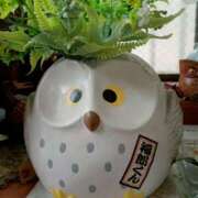 ヒメ日記 2025/05/09 18:30 投稿 ちあき 奥鉄オクテツ神奈川店（デリヘル市場グループ）