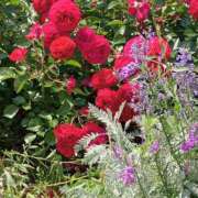 ヒメ日記 2025/05/25 13:30 投稿 ちあき 奥鉄オクテツ神奈川店（デリヘル市場グループ）