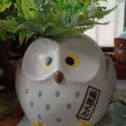 ヒメ日記 2025/07/07 10:15 投稿 ちあき 奥鉄オクテツ神奈川店（デリヘル市場グループ）