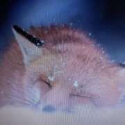 ヒメ日記 2025/07/31 12:10 投稿 ちあき 奥鉄オクテツ神奈川店（デリヘル市場グループ）