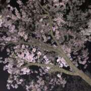 ヒメ日記 2025/04/06 17:40 投稿 あみな 池袋マリン別館