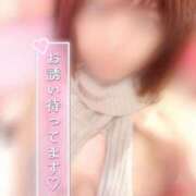 ヒメ日記 2025/04/28 20:22 投稿 おとめ 五反田人妻ヒットパレード（シンデレラグループ）