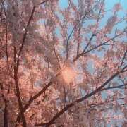 ヒメ日記 2025/04/17 10:00 投稿 みなみ スチュワーデス