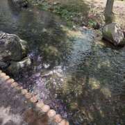 ヒメ日記 2025/07/20 15:15 投稿 ことは先生 女教師