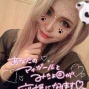 ヒメ日記 2025/03/30 12:56 投稿 ひまわり ギャルコレクション