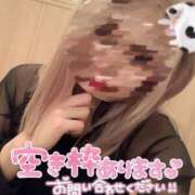 ヒメ日記 2025/04/29 09:02 投稿 ひまわり ギャルコレクション