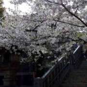 ヒメ日記 2025/04/05 20:00 投稿 みことさん 鶯谷のデリヘル桃山