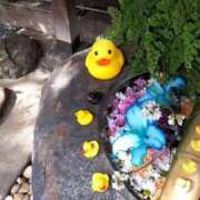 ヒメ日記 2025/04/08 07:18 投稿 みことさん 鶯谷のデリヘル桃山