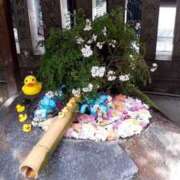 ヒメ日記 2025/05/12 07:43 投稿 みことさん 鶯谷のデリヘル桃山