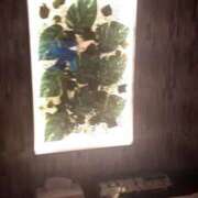 ヒメ日記 2025/06/01 18:32 投稿 みことさん 鶯谷のデリヘル桃山