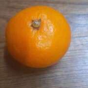 みことさん ❤️みこと❤️今日もオーラス出勤です❤️ 鶯谷のデリヘル桃山