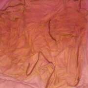 みことさん ❤️みこと❤️で抜き納めしませんか⁉️ 鶯谷のデリヘル桃山