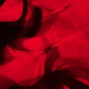 ヒメ日記 2025/05/08 18:05 投稿 るな 神田はっち