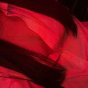 ヒメ日記 2025/06/30 19:00 投稿 るな 神田はっち