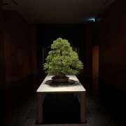 ヒメ日記 2026/02/27 19:34 投稿 るな 神田はっち