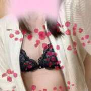 ヒメ日記 2025/04/12 11:15 投稿 るな アイビーム