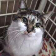 ヒメ日記 2025/08/07 09:22 投稿 純子 熟女デリヘル倶楽部