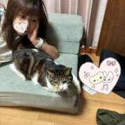 純子 猫 熟女デリヘル倶楽部