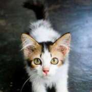 ヒメ日記 2025/07/14 16:37 投稿 あん さくらん