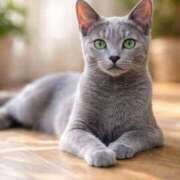 ヒメ日記 2025/12/28 19:54 投稿 あん さくらん