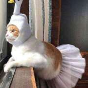 ヒメ日記 2025/06/16 11:08 投稿 えり 汁婆クラブ