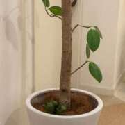 ヒメ日記 2025/06/16 22:32 投稿 つばめ ばつぐん素人プロダクション