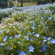 ヒメ日記 2025/07/27 18:58 投稿 つばめ ばつぐん素人プロダクション