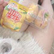 ヒメ日記 2025/05/05 12:47 投稿 【新人】ふわり 神奈川小田原ちゃんこ