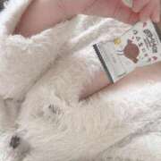 ヒメ日記 2025/05/05 15:19 投稿 【新人】ふわり 神奈川小田原ちゃんこ