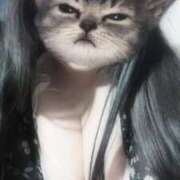 ヒメ日記 2025/07/27 20:57 投稿 【新人】ふわり 神奈川小田原ちゃんこ