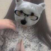 ヒメ日記 2025/08/26 00:07 投稿 【新人】ふわり 神奈川小田原ちゃんこ