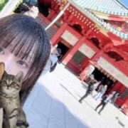 ヒメ日記 2025/05/11 22:03 投稿 みつは 五反田人妻ヒットパレード（シンデレラグループ）